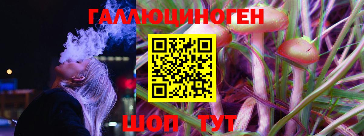 Азнакаево  Галлюциногенные грибы Psilocybe  Вход с VPN 
